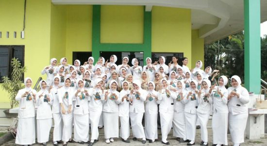 IBI ProvSU Bekerja Sama Dengan Universitas Aufa Royhan Padang Sidimpuan Gelar Pelatihan Asuhan Persalinan Normal