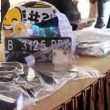 Polres Dumai Amankan 3 Pelaku Illegal Loging