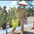 Bupati Rohul H .Sukiman Berharap Agar Dikembangkan Tanaman Holtikultura Serta Membuat Program Inovasi