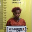 Mantap Polsek Dumai Timur Bersama Tim Berasil Meringkus Pidana Pencurian Jambet