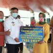 Bupati Labura Serahkan Bantuan DID kepada 300 Pelaku UMKM Secara Simbolis