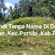 Menguak Kisah ” Puing Puing Candi Di Desa Aloban – Paluta , Candi Tanpa Nama Merupakan Kebanggan Masyarakat Desa Aloban
