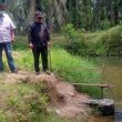 GM PT  Tor Ganda Bersama DLH Rohul  Saksikan ,” PMKS PT Tor Ganda Taburkan  20 Ribu Bibit Ikan Di Hulu Sungai Sitalas