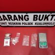 Unit Reskrim Polsek Kualuh Hulu Amankan Pengedar Sabu Dikebun Kelapa Sawit