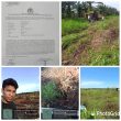 Petani Menjerit, Mafia Tanah Diduga Rusak Ribuan Sawit di Panai Tengah Rp3,1 Miliar Melayang
